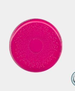 مانیتول سالت فنول رد آگار مرک کد 105404 \ فروشگاه اینترنتی مستر آزما