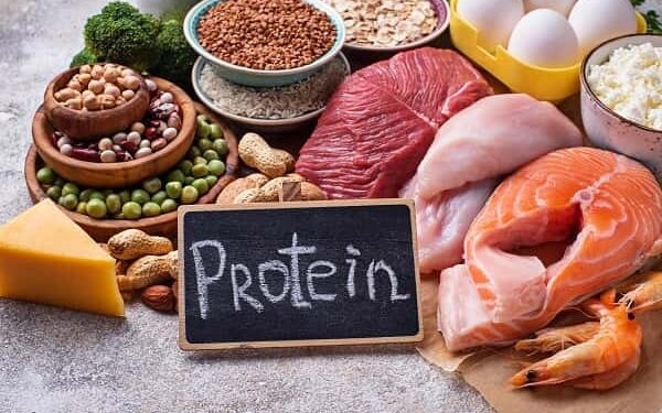 پروتئین در رژیم غذایی مناسب پوکی استخوان/مقالات علمی/فروشگاه مواد شیمیایی مسترآزما